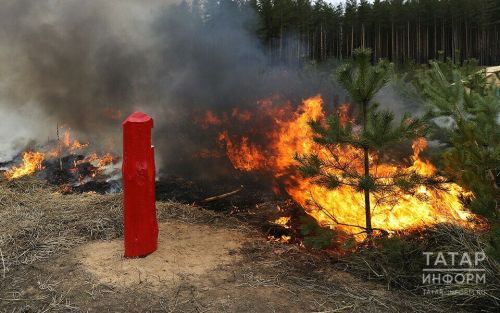 Татарстанда бүген янгынга каршы махсус режим гамәлгә керде