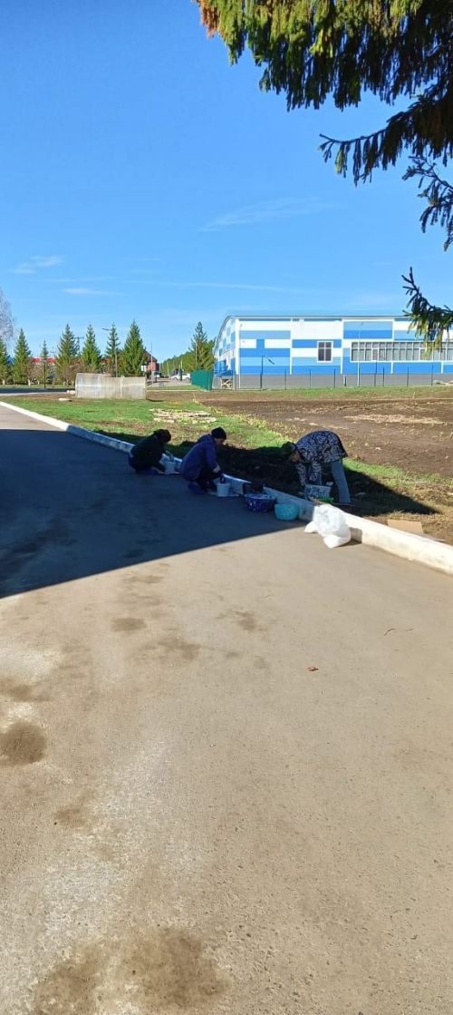 Бордюрларны, агачларны агарттылар