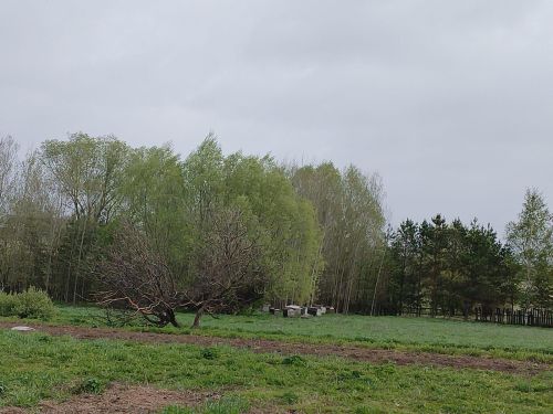 Яз җитте- сезонлы аллергия башланды...