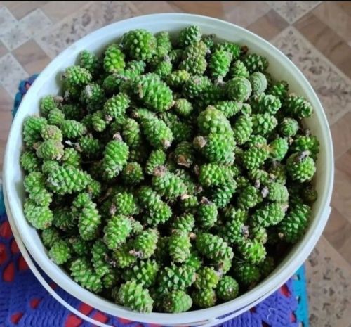 Күркә вареньесы рецепты