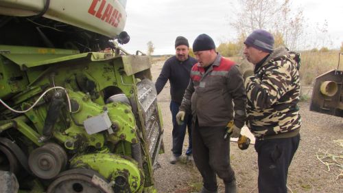 Корнаж: кыйммәт тә түгел, туклыклы да