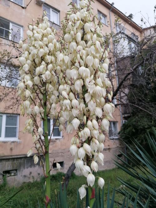 Кунакчыл һәм кояшлы Абхазия