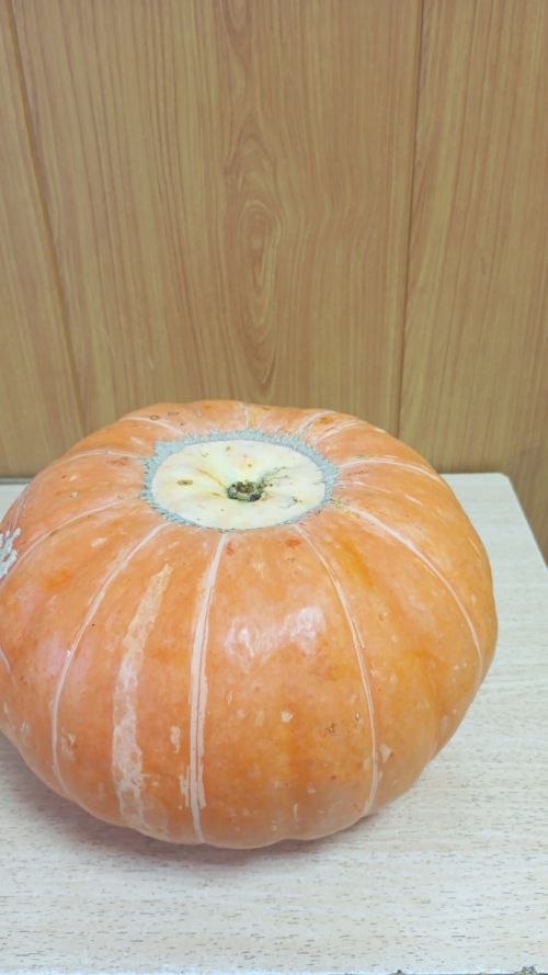 Кабак кына димәгез!