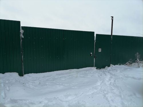 Күәм урта мәктәбе укучылары Биектау районында урнашкан этләр приютында булдылар