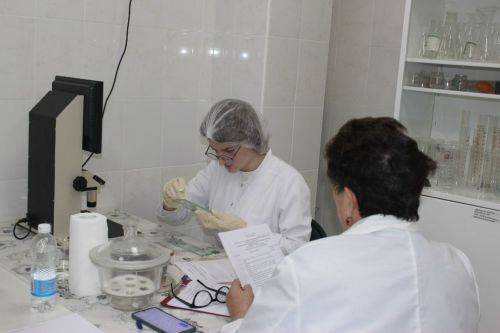 Әтнә техникумы студентлары Минзәләдән җиңү белән кайттылар