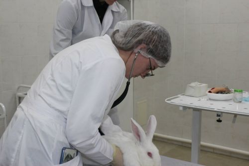 Әтнә техникумы студентлары Минзәләдән җиңү белән кайттылар