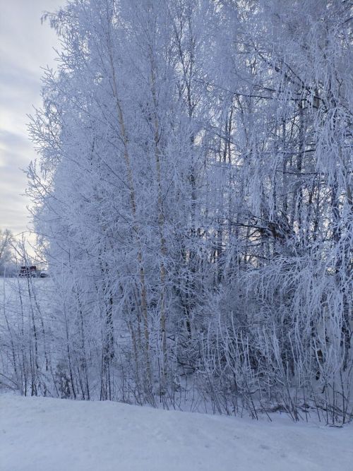 Әтнәдә буген - 17 градуска кадәр салкын булуы көтелә