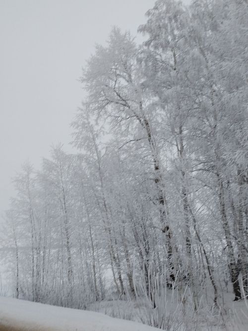 Кышның соңгы  аена аяк бастык