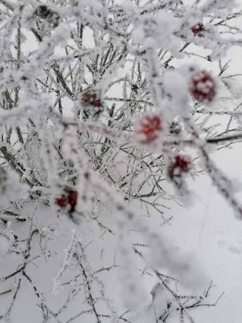 Әтнәдә салкынча һава торышы саклана