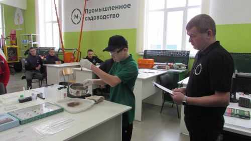 Җир әзерләп, эшкәрттеләр,  агачларны кистеләр...