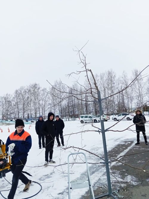 Җир әзерләп, эшкәрттеләр,  агачларны кистеләр...