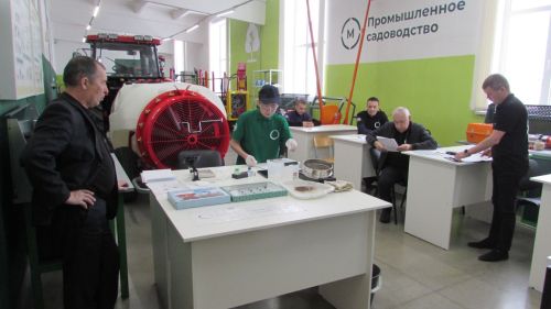 Җир әзерләп, эшкәрттеләр,  агачларны кистеләр...