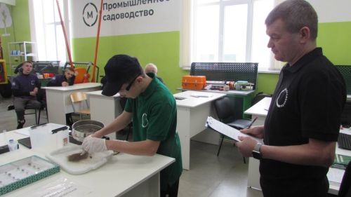 Җир әзерләп, эшкәрттеләр,  агачларны кистеләр...