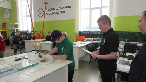 Җир әзерләп, эшкәрттеләр,  агачларны кистеләр...