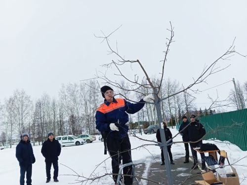 Җир әзерләп, эшкәрттеләр,  агачларны кистеләр...