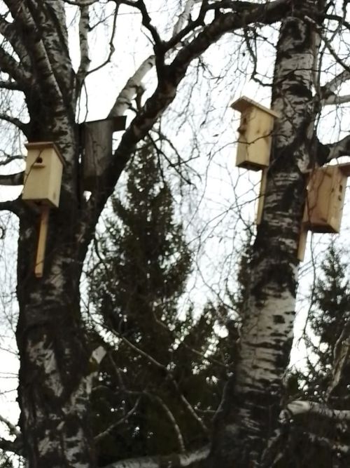 Сыерчыкларны каршы алырга сез әзерме?