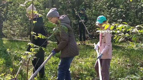 «Чиста чишмә» акциясенә кушылдыңмы?