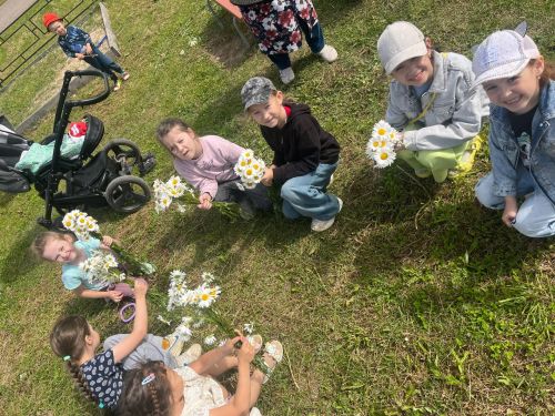 24 июнь  - ромашка чәчәкләре көне