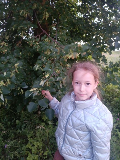Яңа Әтнә мәдәният йортында балалар шифалы үләннәр дөньясына сәяхәт ясады: Сары мәтрүшкә һәм әрем серләре!