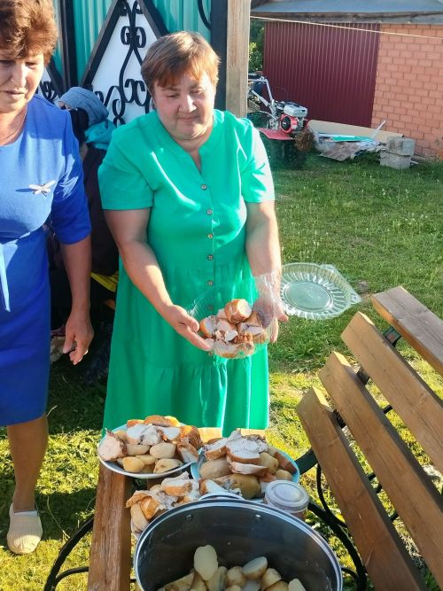 Бәрәзә авылында «культурно» ял итәләр