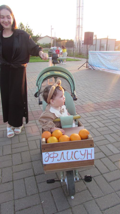 Әтнәдә коляскалар парады һәм сабыйлар ярышы узды