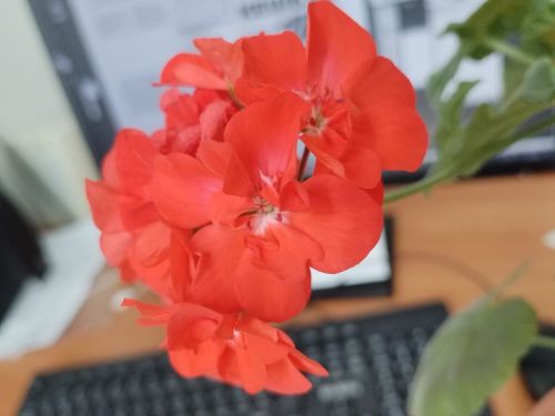 Һава торышын беләсегез киләме?