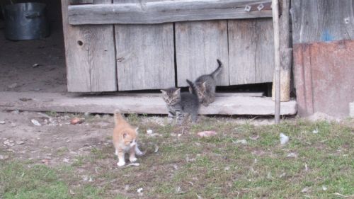 Бүген Әтнәдә нинди һава торышы?