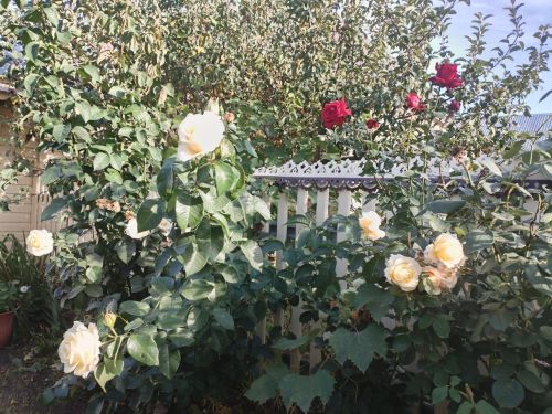 Бүген Әтнәдә аязучан болытлы һава көтелә
