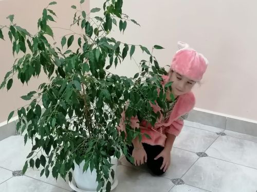 «Әкияттә кунакта»
