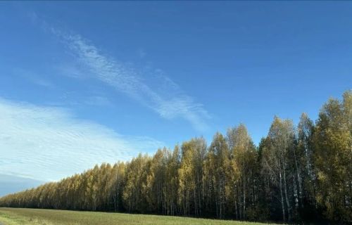 Үткән төндә Россиядә дошманның 800дән артык пилотсыз очкычы юк ителгән