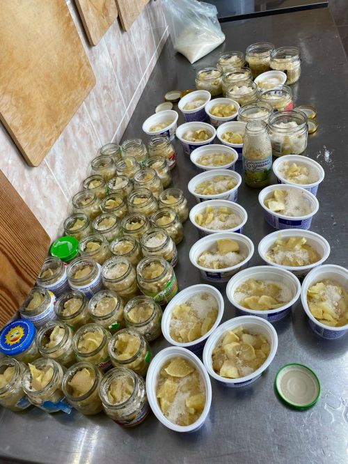 Үзебезнекеләрне ташламыйбыз: кечкенә куллар белән зур эш ул!