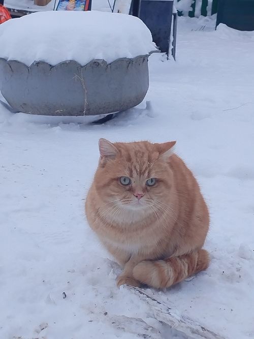 Әтнәдә температураның түбәнәюе көтелә