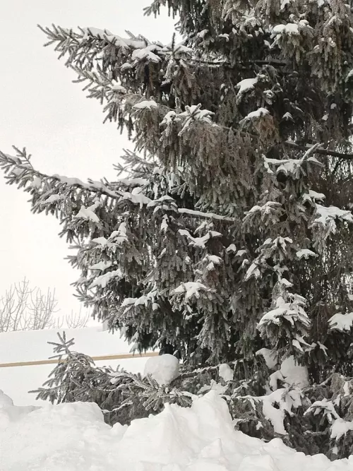 Әтнәдә бүген 3 градуска кадәр җылы