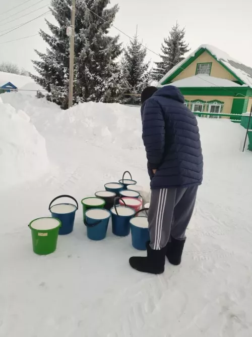 Сөт бәясе төшү сәбәпле, Татарстан хуҗалыклары 1,5 млрд сум акча югалткан