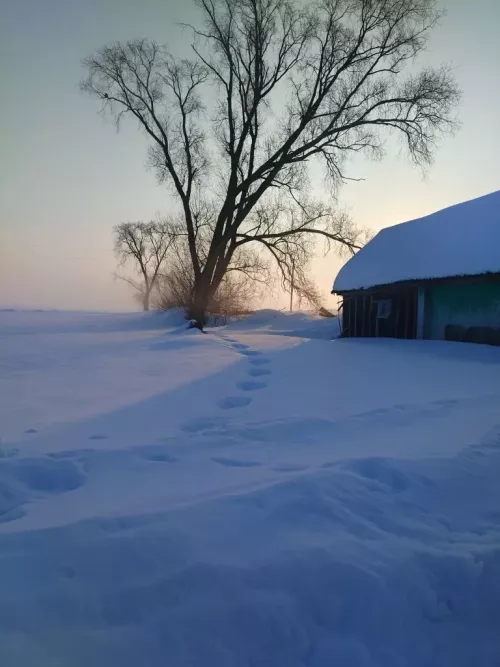 Ходаем, туган яктан аерма!