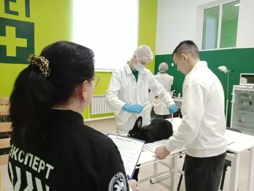 2026 елда Татарстан Урта һөнәри белем алу мөмкинлеген киңәйтү буенча федераль экспериментта катнашты