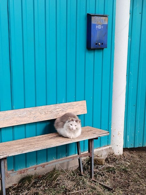 Бүген Әтнәдә аяз һава торышы саклана