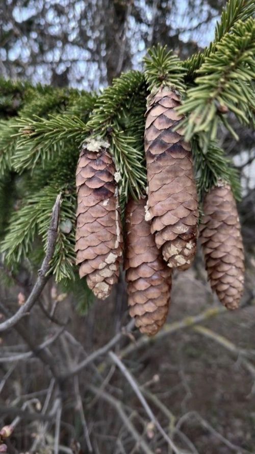 Бүген Әтнәдә нинди һава торышы?