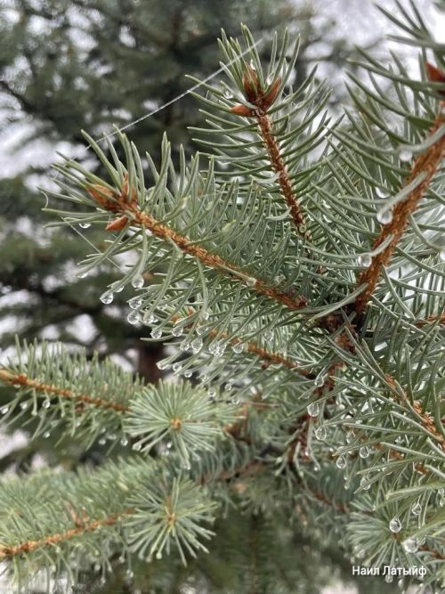 Бүген Әтнәдә аязучан болытлы һава торышы саклана