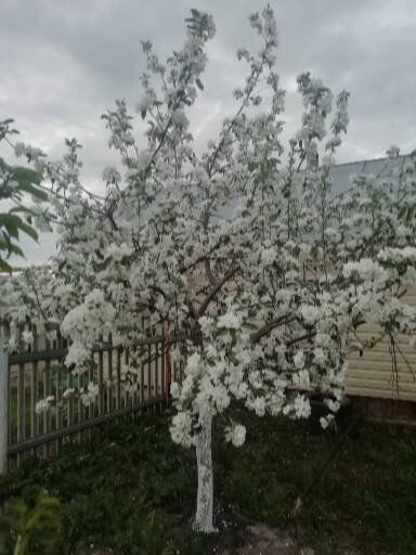 Бүген Әтнәдә +29  градуска кадәр җылы булачак