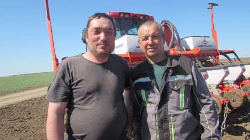 «Мәңгәр»дә кукуруз чәчәләр