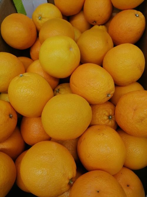 Лимон белән сарымсакның файдасы