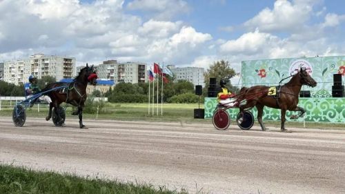 Омскида XXVI Федераль Сабантуй ат чабышлары белән башланды