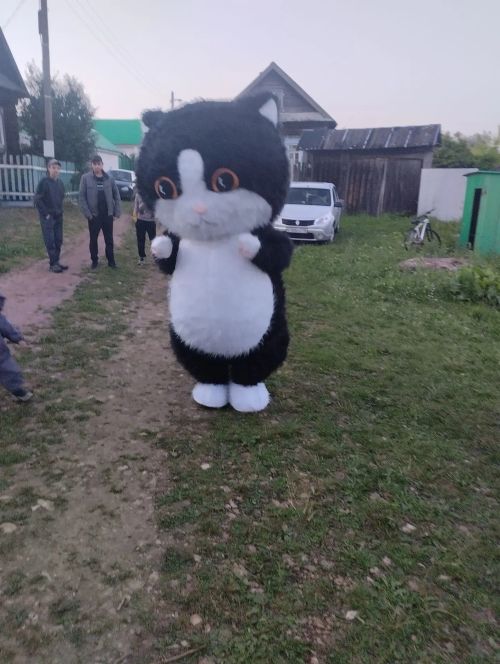 Күл буена килсәң иде...