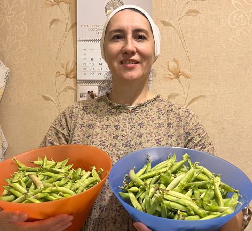 Борчак бурлары