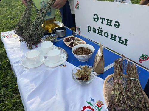 Әтнәләр Кайбыч районында  уңышлы чыгыш ясадылар