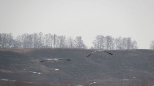 Әтнә районы Ашыт буеның язгы мизгелләре