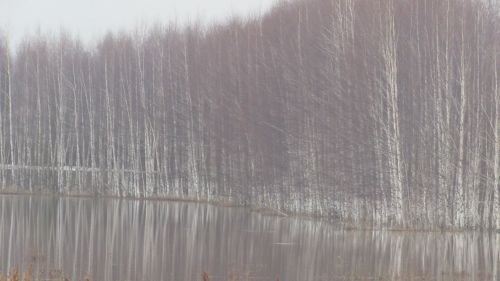 Әтнә районы Ашыт буеның язгы мизгелләре