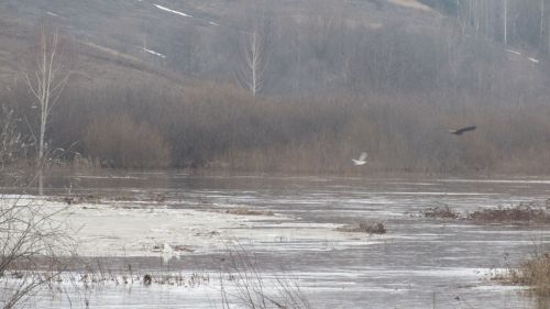 Әтнә районы Ашыт буеның язгы мизгелләре
