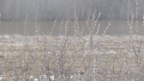 Әтнә районы Ашыт буеның язгы мизгелләре